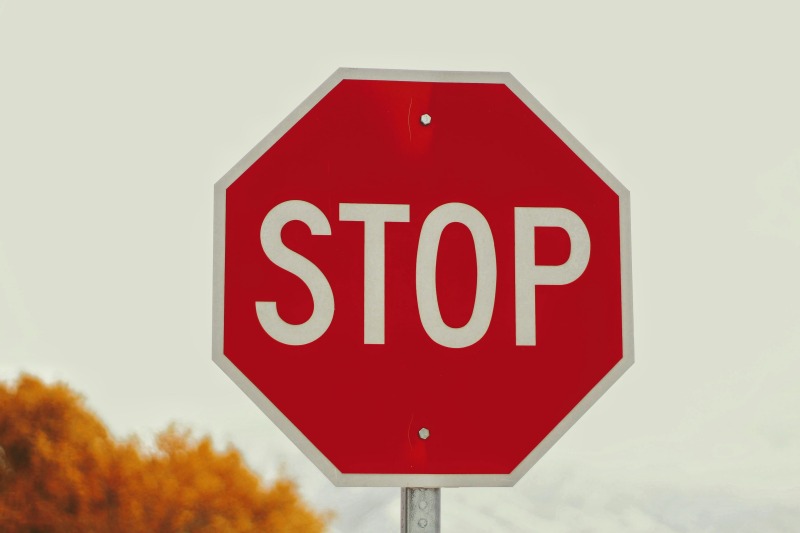 Stop sign near mature tree